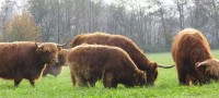 /album/fotogalerie/img-38689226226156-jpeg/